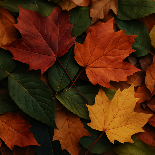 🍂Diese Farben dominieren den Herbst 2025✨