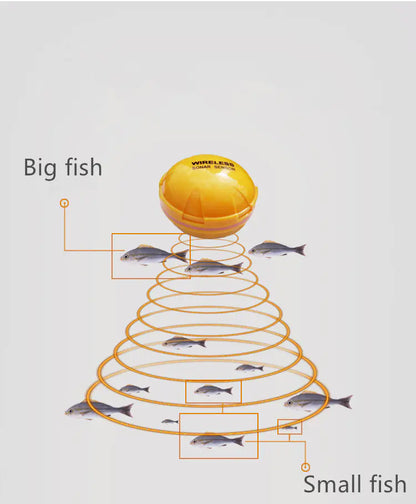 Kabelloser Fischfinder mit Bluetooth & Sonartechnologie – Tiefenmessung bis 36m, 10h Akku, tragbar für Angler